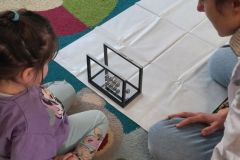 a55a6c07-b235-4771-b6ad-e79e92c73741