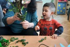 c41e1500-9433-4270-930f-b40281b49b1c