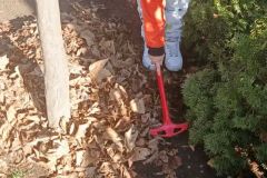 36821b21-1ed6-4e90-927b-018872b3b449