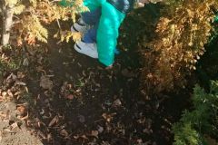 82758e3d-006d-4979-9793-b4042700bf3e