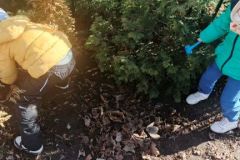 b9b5e20a-bd13-480a-b982-7932e6d4820e