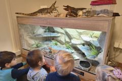 1c8aba8d-ec41-43a4-93ea-602bdfa1b0fa