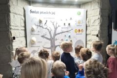 28d4edf8-9386-439b-b78c-f92374be27db