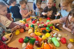 30b55458-8a73-4423-bdb0-a6d02f1e7eb7