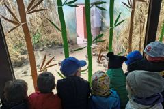 de7b4186-1f84-49f2-bb54-a9741e428c27