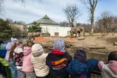 f4643693-70c4-4a3b-a07f-62bc6167725f